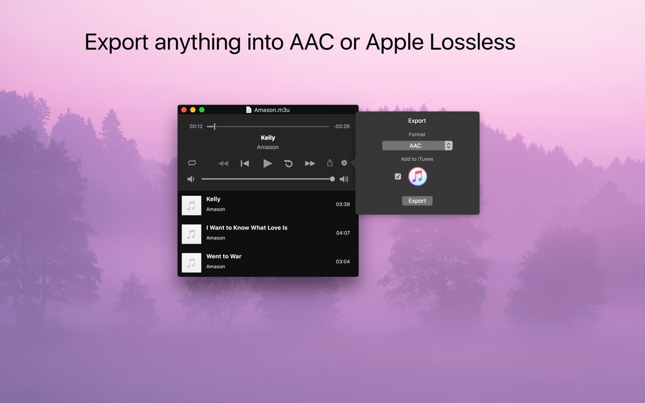 Audio Playr screenshot 3